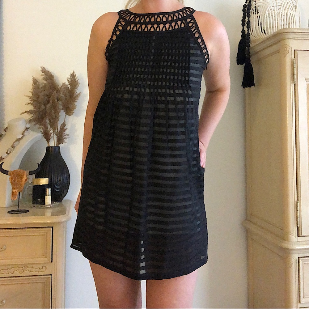 Cynthia Steffe dress with sheer detailing